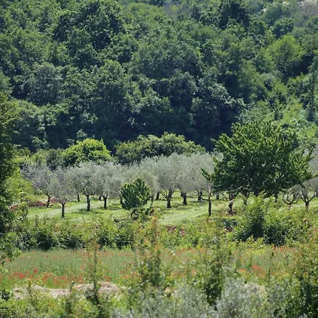 Vila Casa Conte Istria *