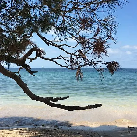 Casa Conte Istria