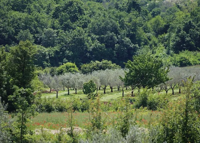 Villa Casa Conte Istria *