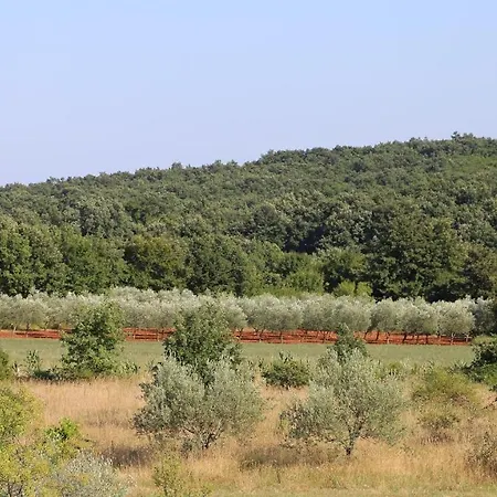 Casa Conte Istria Villa *