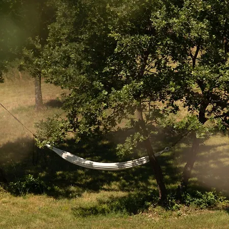 Casa Conte Istria Villa