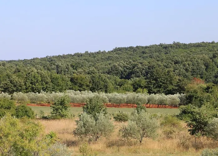 Casa Conte Istria Villa *